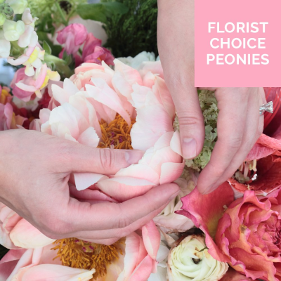 Florist Choice Peonies - Let the florist put together a lovely selection of seasonal flowers including peonies. 